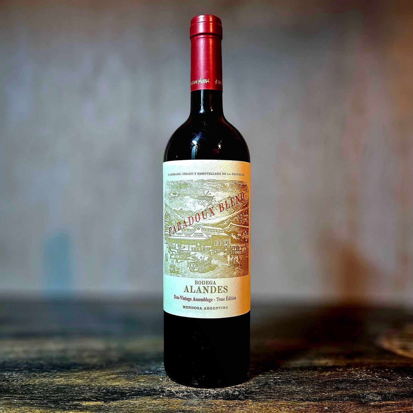 Bodega Alandes - Paradox Blend, Mendoza, Argentina