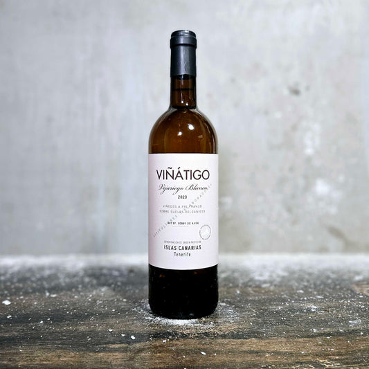 Viñatigo - Vijariego Blanco, Tenerife, Canary Islands, Spain (2023)