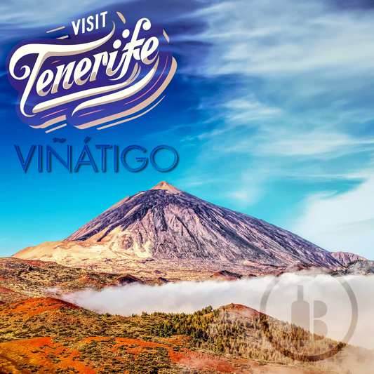 VIÑÁTIGO AND THE WINES OF TENERIFE