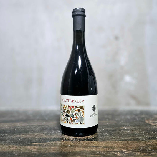Podere Sottoilnoce - 'Cattabrega' Roasto, Lambrusco, Italy (2023)